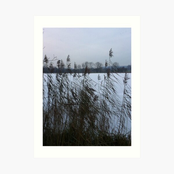 Reeds by a frozen lake (vertical) Art Print