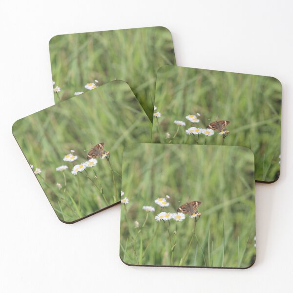 Artikelvorschau, Schmetterling entworfen und verkauft von Southern Doll Designs.