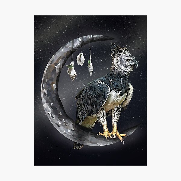 Harpy Eagle Art Prints for Sale - Fine Art America