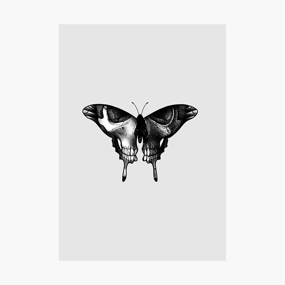 Death Skull Butterfly