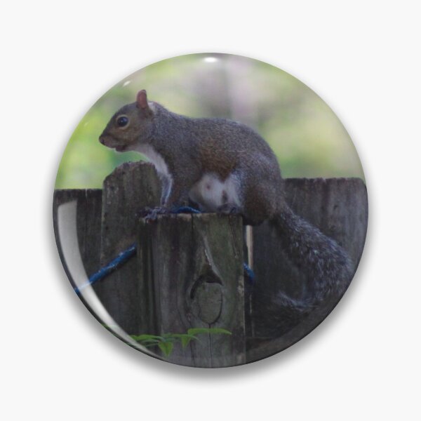 Item preview, Squirrel designed and sold by Southern Doll Designs.
