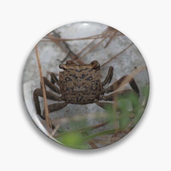 Item preview, A little crabby designed and sold by Southern Doll Designs.