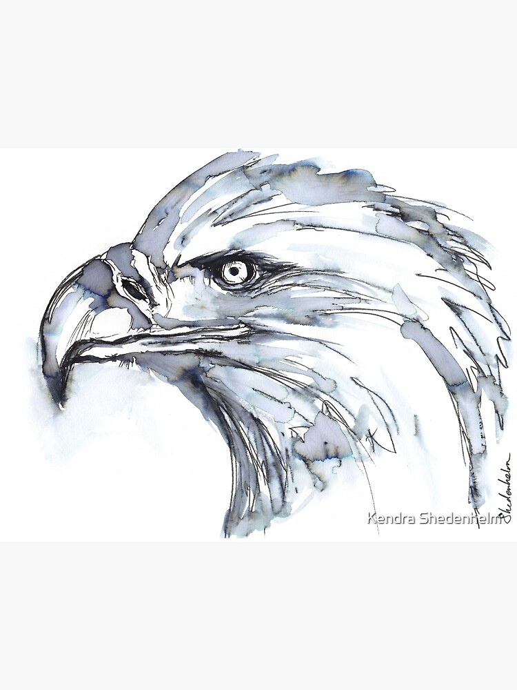 Tarjetas de felicitación «Retrato de águila, boceto de acuarela» de  KShedenhelm | Redbubble
