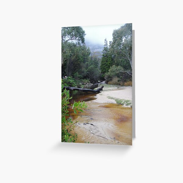 The Fisheries, Coles Bay, Tas Greeting Card