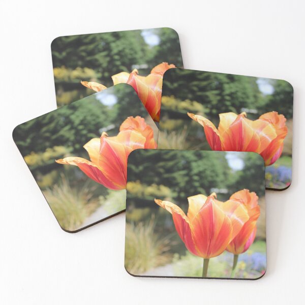 Item preview, Queenstown Bloom, Queenstown Gardens 花卉 designed and sold by NZ-Art.