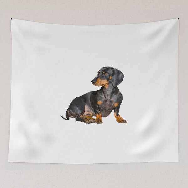 Item preview, Dachshund designed and sold by Gary Chadbond Photography.