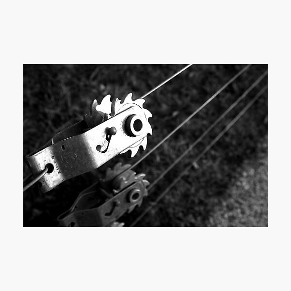 Item preview.
