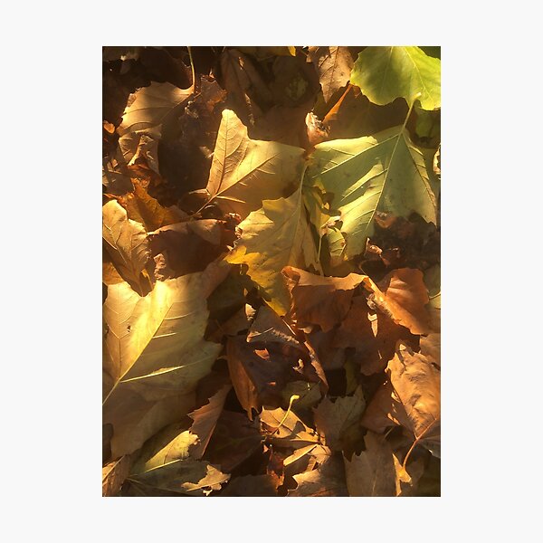 Item preview, Warm Autumn Leaves designed and sold by Nicola Boden.