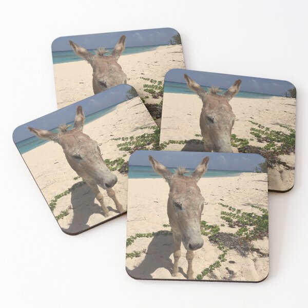 Item preview, Wild Donkey on Grand Turk Island Beach designed and sold by Logan Deal.