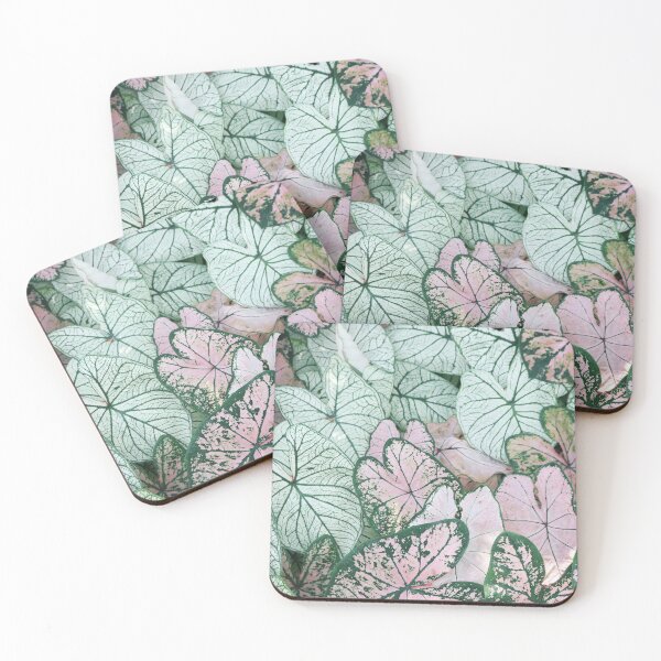 Item preview, Caladium plant photo designed and sold by mcburns5.