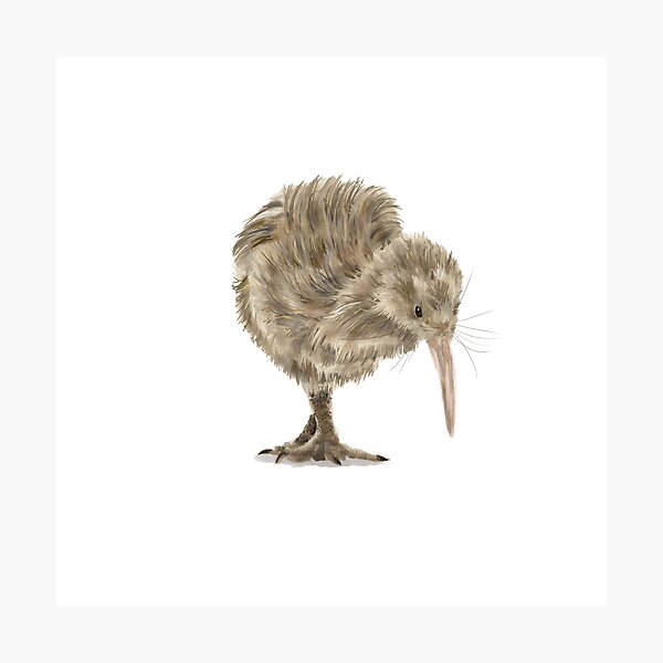 Item preview, The cute kiwi designed and sold by mofdeer10.
