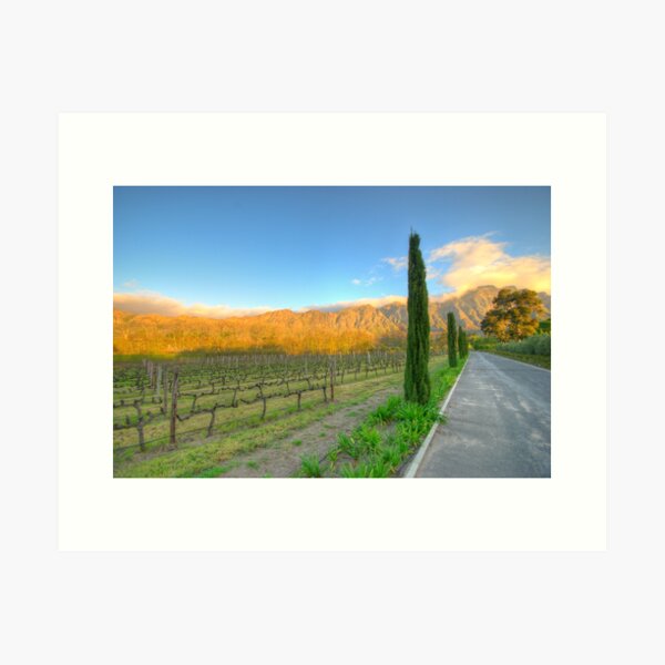 Item preview, Franschhoek Vineyard, South Africa designed and sold by David  Phillips.