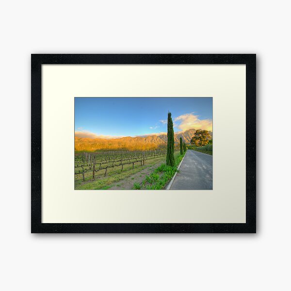Item preview, Franschhoek Vineyard, South Africa designed and sold by David  Phillips.