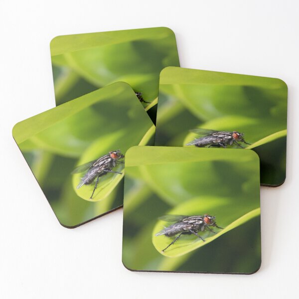 Item preview, FLY FLY designed and sold by Andrew Hocking.