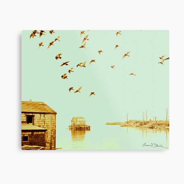 Flight at Peggy's Cove Metal Print
