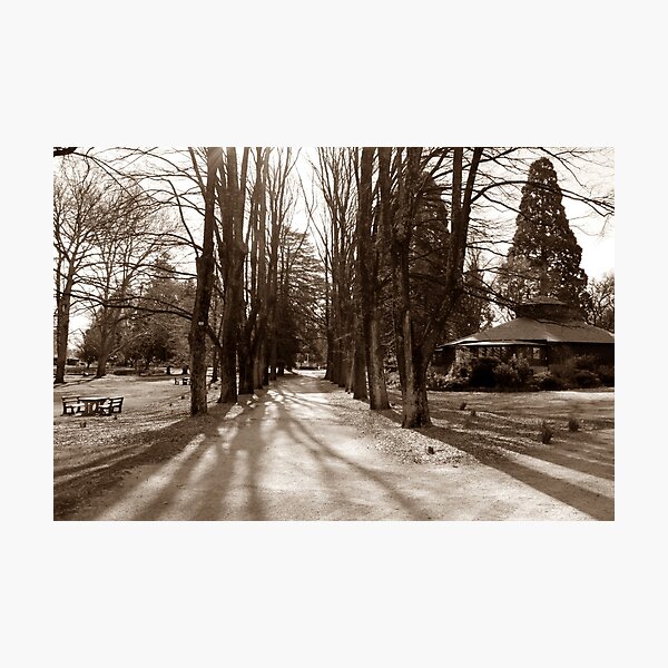 Item preview, Cooks Park Path designed and sold by Steven Cousley.