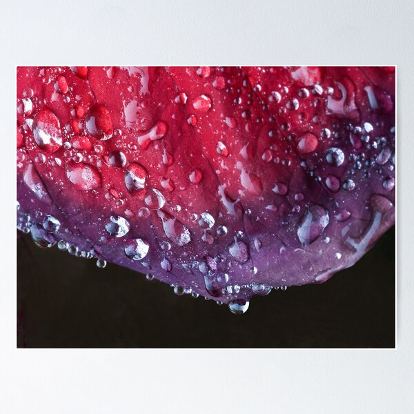 Item preview, Raindrop Leaf  designed and sold by DIANE  FIFIELD.