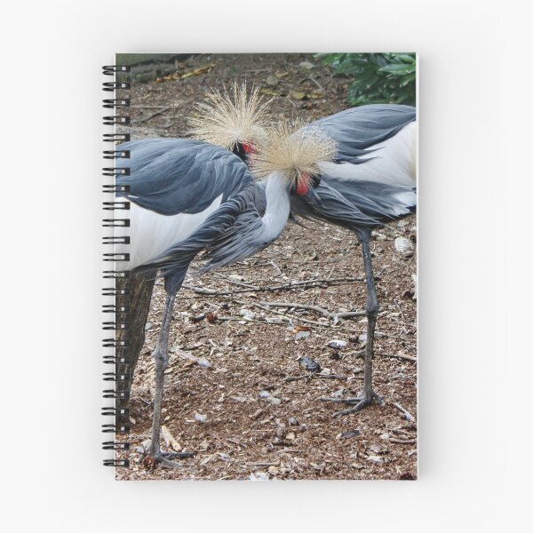 Item preview, Black Crowned Crane designed and sold by AnnDixon.