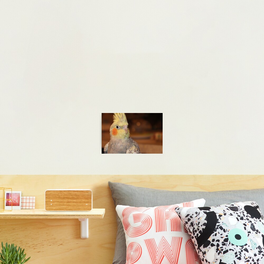 Item preview, Photographic Print designed and sold by KyleeGraphs.