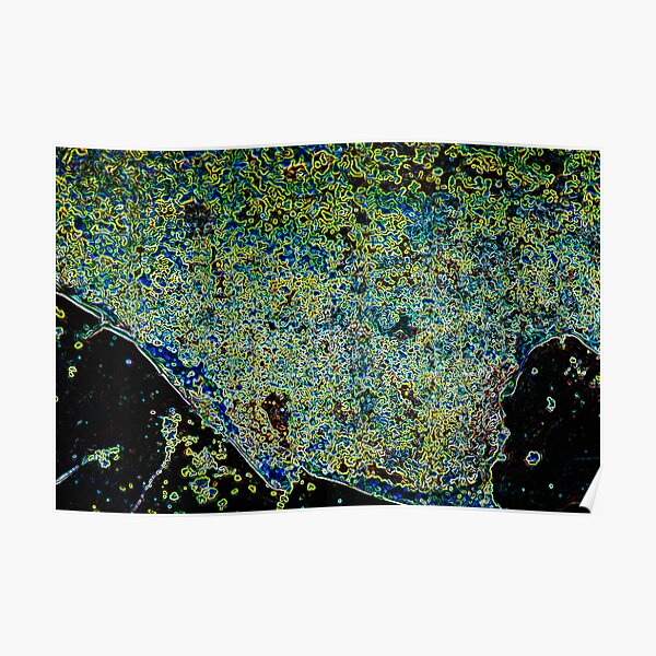 Bacterial Invasion Poster