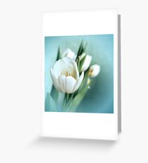 Tulips Greeting Card