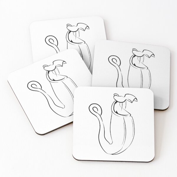 Item preview, Nepenthes Bicalcarata Pitcher Plant Carnivorous plant gift designed and sold by Carnivorous  Plant Club ⭐⭐⭐⭐⭐.