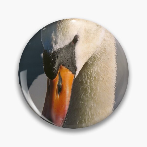 Item preview, Swan Close Up Photograph designed and sold by phutball.