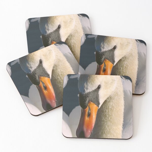 Item preview, Swan Close Up Photograph designed and sold by phutball.