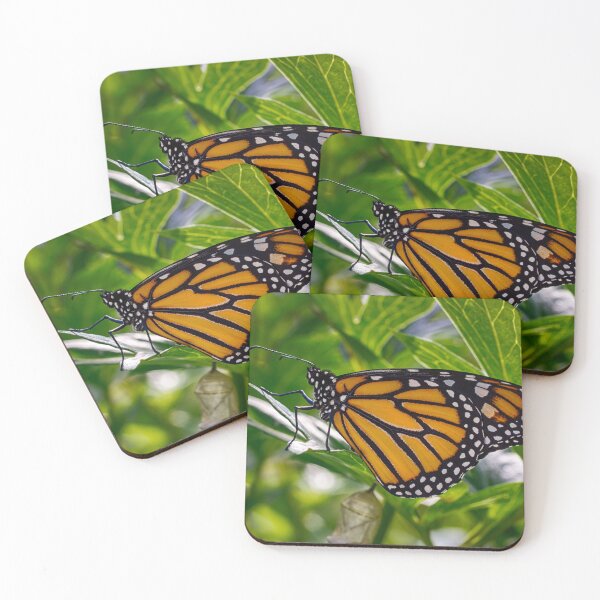 Item preview, Monarch Butterfly 3 designed and sold by Robert Alsop.