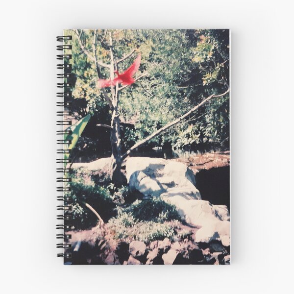 Item preview, Magical forest experience. designed and sold by Jillalexa.