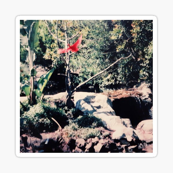 Magical forest experience. Sticker