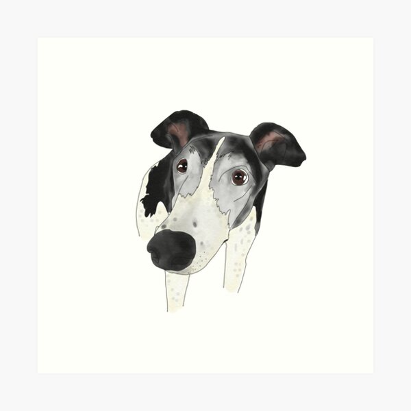 Schwarzweiss Hund Geschenke Merchandise Redbubble