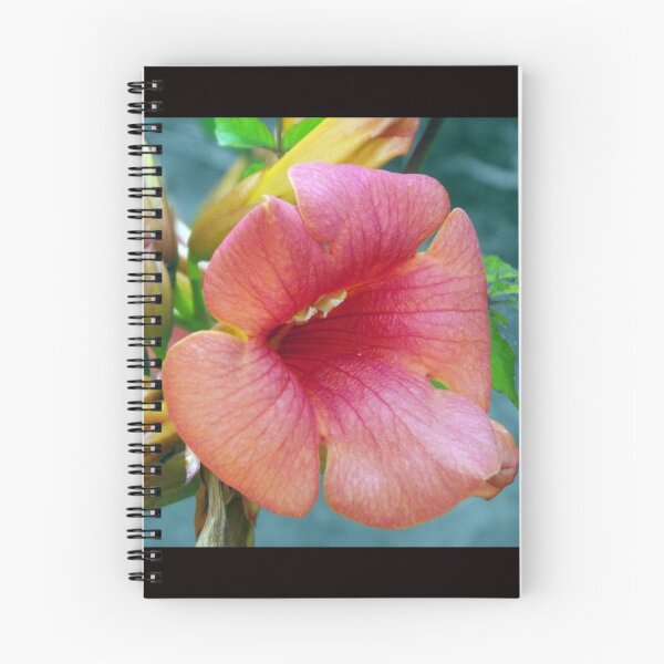 Item preview, Orange Trumpet Flower designed and sold by Steven Cousley.