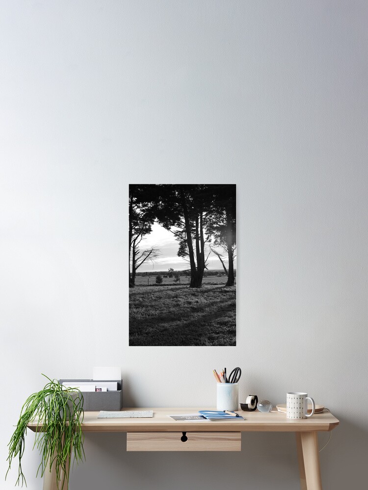 Thumbnail 2 of 3, Poster, Shadows designed and sold by NoniRae.