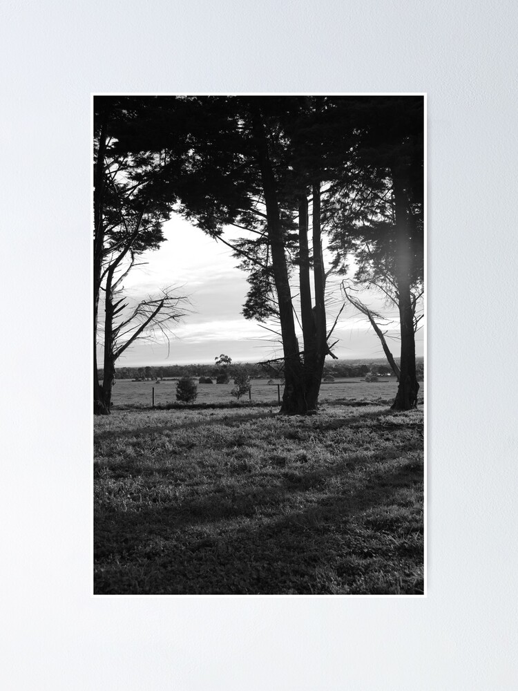 Thumbnail 1 of 3, Poster, Shadows designed and sold by NoniRae.