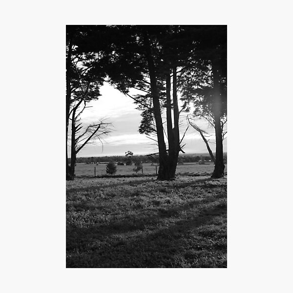 Aperçu de l'œuvre Shadows créée et vendue par NoniRae.