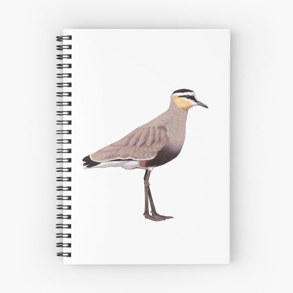 Item preview, Sociable Lapwing illustration designed and sold by kokayart.