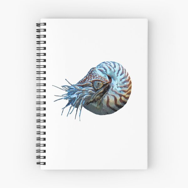 Artikelvorschau, Nautilus Farbdruck entworfen und verkauft von designsasstultd.