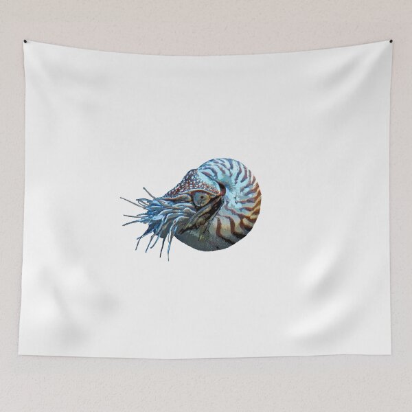 Item preview, Nautilus Color Print designed and sold by designsasstultd.