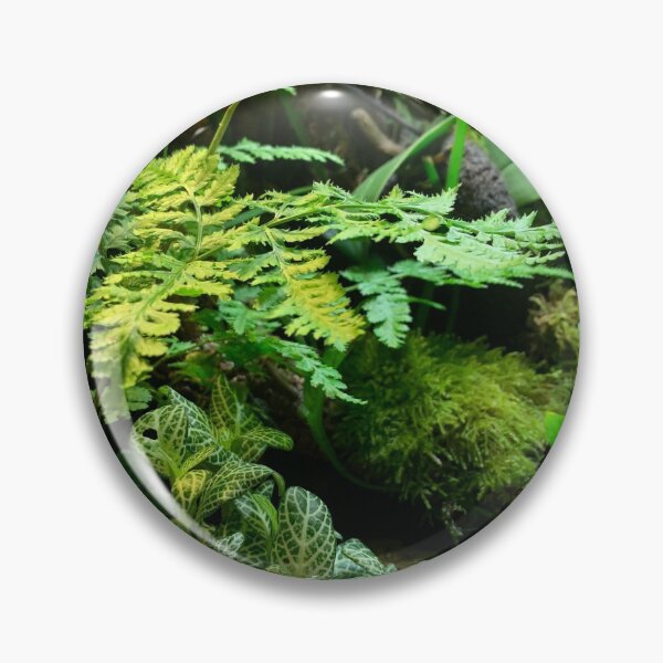 Item preview, Terrarium scene- ferns designed and sold by bizzielizzieart.