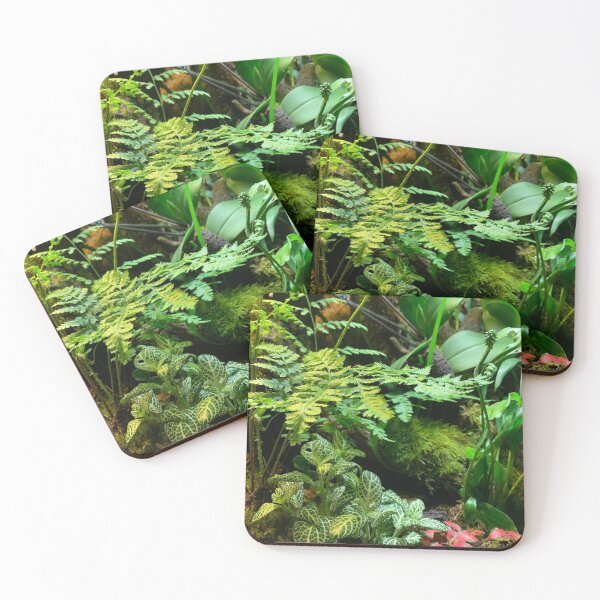 Item preview, Terrarium scene- ferns designed and sold by bizzielizzieart.