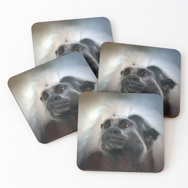 Item preview, Cotton-top Tamarin  designed and sold by Savannah Gibbs.