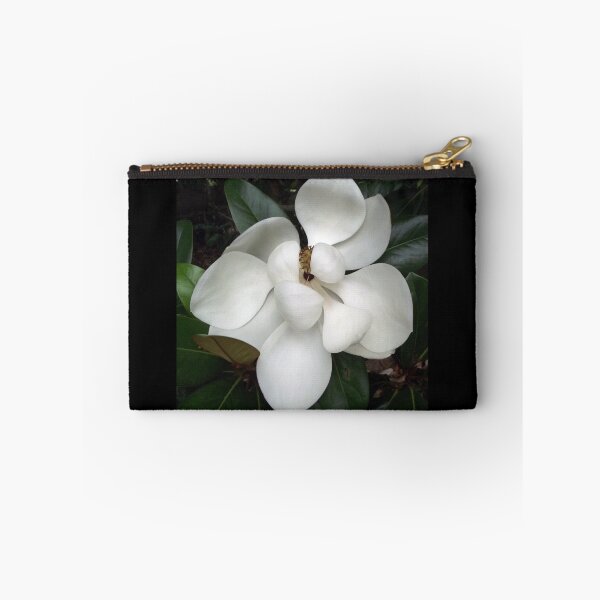 Artikelvorschau, White Magnolia entworfen und verkauft von Steven Cousley.
