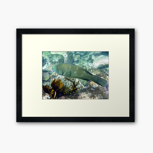 CRUISING Framed Art Print
