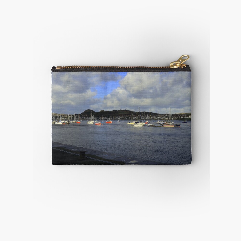 Item preview, Zipper Pouch designed and sold by andrewsaxton.