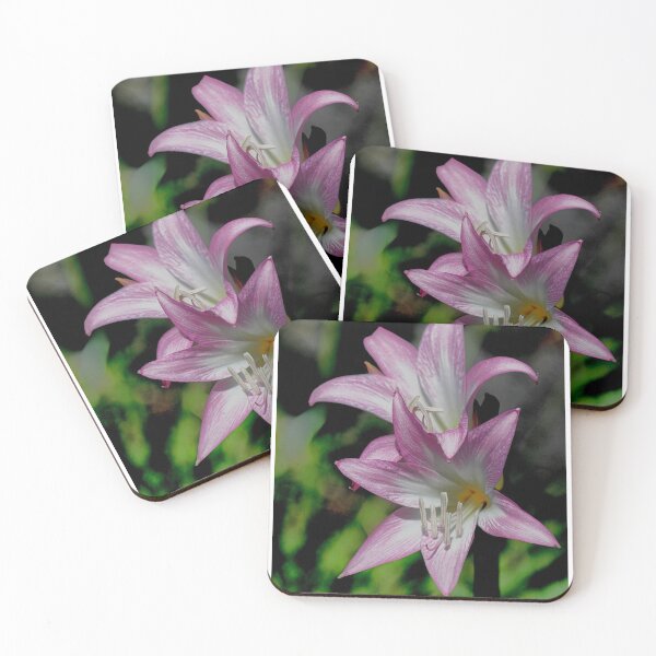 Item preview, Lilies in Bloom designed and sold by John Maciel.