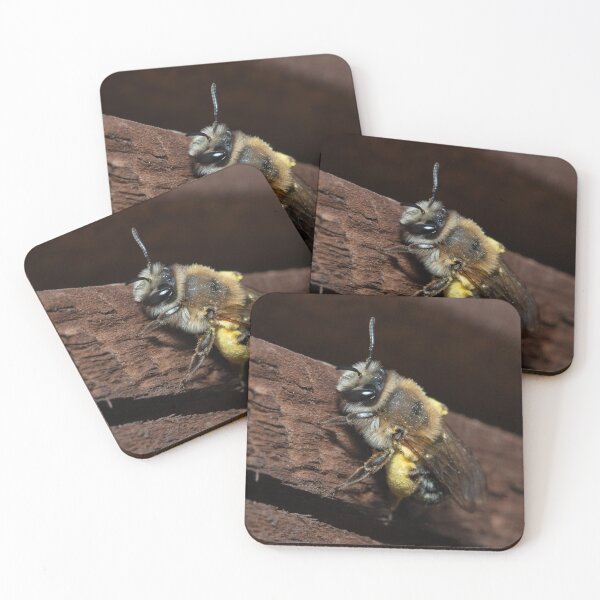 Item preview, bee on a fence designed and sold by Sam Mitchell.