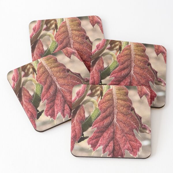 Item preview, A New Oak Leaf  designed and sold by Paula Betz.