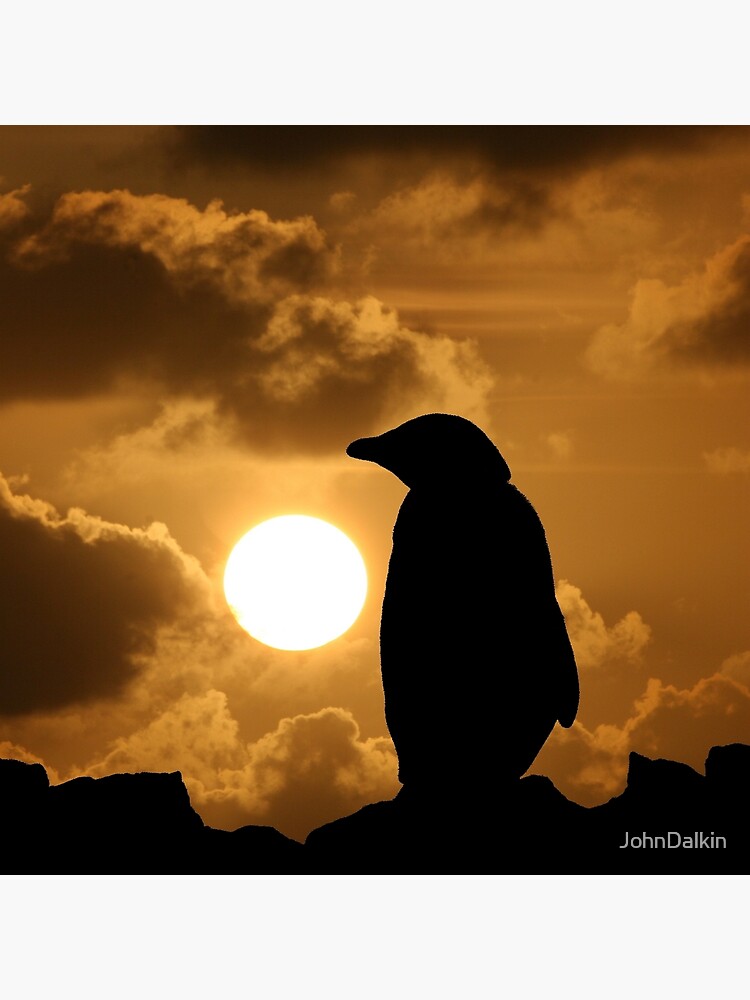Penguin Silhouette by JohnDalkin