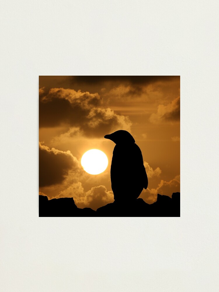 Alternate view of Penguin Silhouette Photographic Print